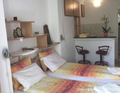 Apartmani Kostić, privatni smeštaj u mestu Herceg Novi, Crna Gora - IMG_4872