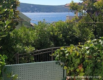 Apartmani Miljevic, privatni smeštaj u mestu Herceg Novi, Crna Gora - 20200821_115019