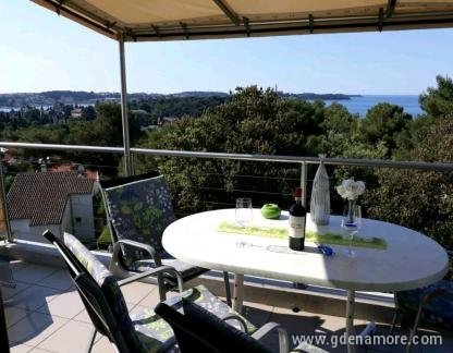 Ivo Apartmani, privatni smeštaj u mestu Rovinj, Hrvatska - IMAGE_1596800886974_636730982357033184