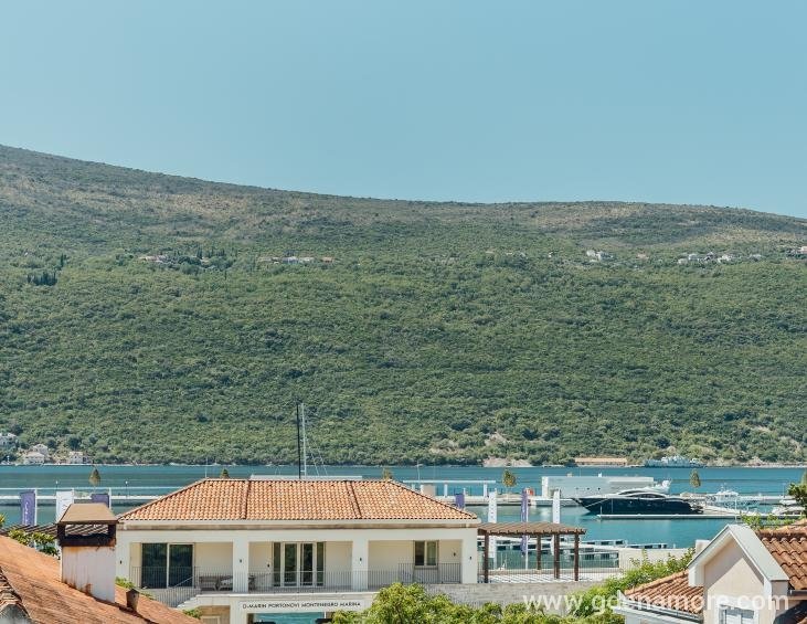 Pogled