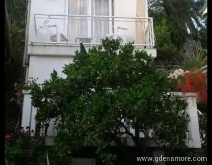 Apartmani  Herceg Novi, privatni smeštaj u mestu Herceg Novi, Crna Gora - IMG-d677ee554e808a952277e4cbafcc3da1-V