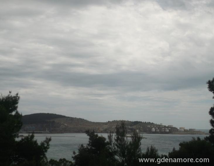 DSCF2452