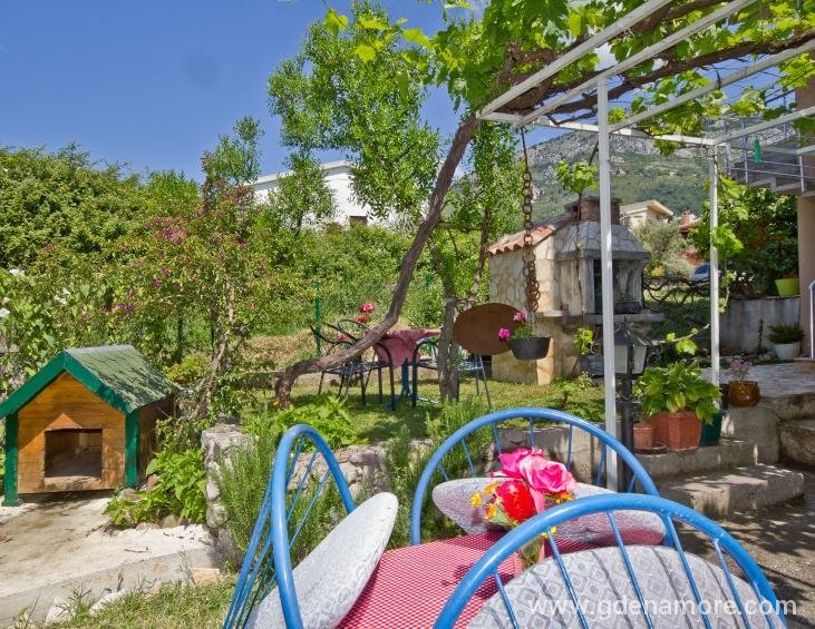 Apartman-38