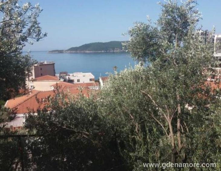 Pogled