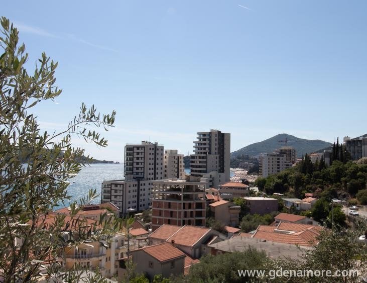 Pogled
