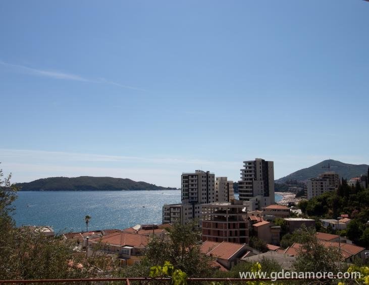 Pogled