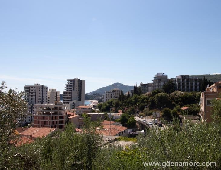 Pogled