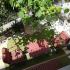 APARTMANI ,,ALEKSANDAR“, Apartman ,,ALEKSANDAR", privatni smeštaj u mestu Herceg Novi, Crna Gora - 1