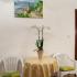 Apartmani Mira, , частни квартири в града Bečići, Черна Гора - 81860121