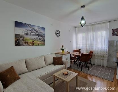 Appartamenti Boro, alloggi privati a Šušanj, Montenegro - 20230531_154442