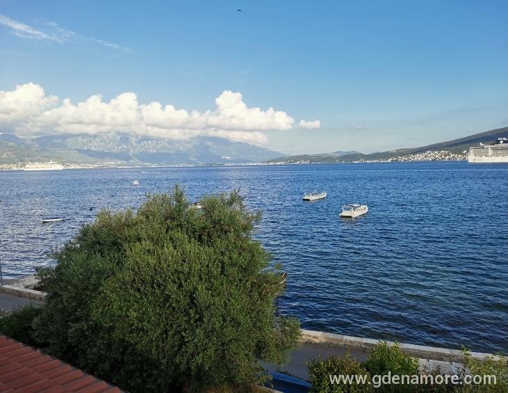 Pogled 