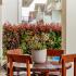 Comfortable apartments in the center of Tivat, Apartment 2, private accommodation in city Tivat, Montenegro - 344A4325