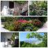Apartmani "M" Zelenika, Apartman 2, privatni smeštaj u mestu Zelenika, Crna Gora - GridArt_20240514_115756010