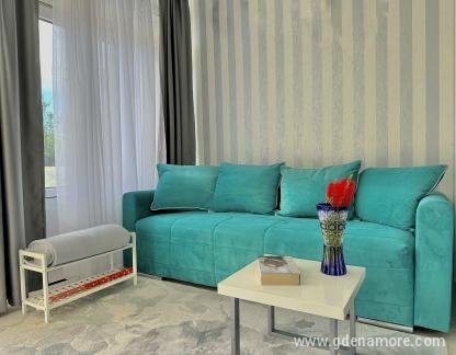 Apartmani Vujovic, ενοικιαζόμενα δωμάτια στο μέρος Zelenika, Montenegro - IMG_1321