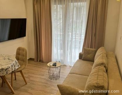 Alex Apartments , private accommodation in city Dobrota, Montenegro - 596644834