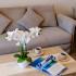 Apartments Arvala, , alloggi privati a Budva, Montenegro - 29
