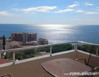 Appartamenti Maravella, alloggi privati a Dobre Vode, Montenegro - 688682982_wqEJ1lMrDy_1000x