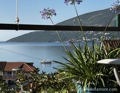 Σπίτι: Διαμερίσματα και δωμάτια, ενοικιαζόμενα δωμάτια στο μέρος Igalo, Montenegro - IMG_5285