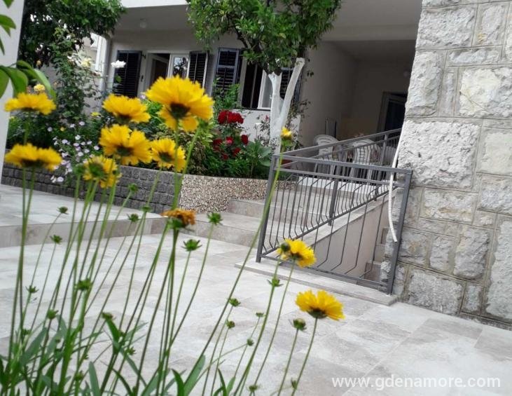 viber_image_2025-06-27_18-12-30-640