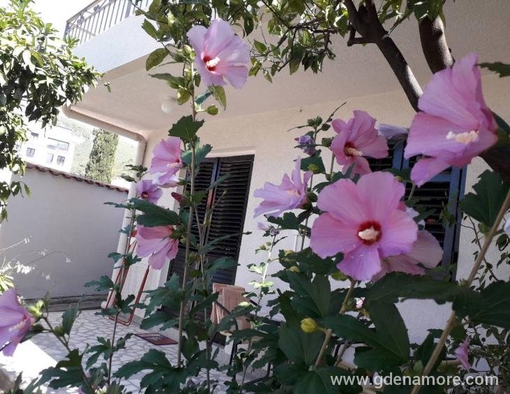 viber_image_2025-06-27_18-18-02-312