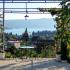 Apartmani Bosco, , Magán szállás a községben Tivat, Montenegró - IMG_20180712_184443