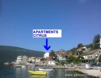 Citrus, Magán szállás a községben Djenović, Montenegró - pogled_sa_mula_na_kucu