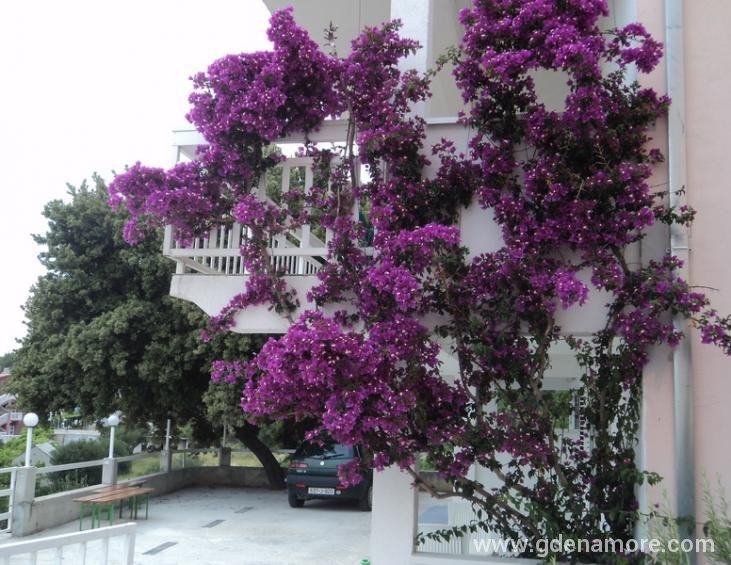 Vila Roing