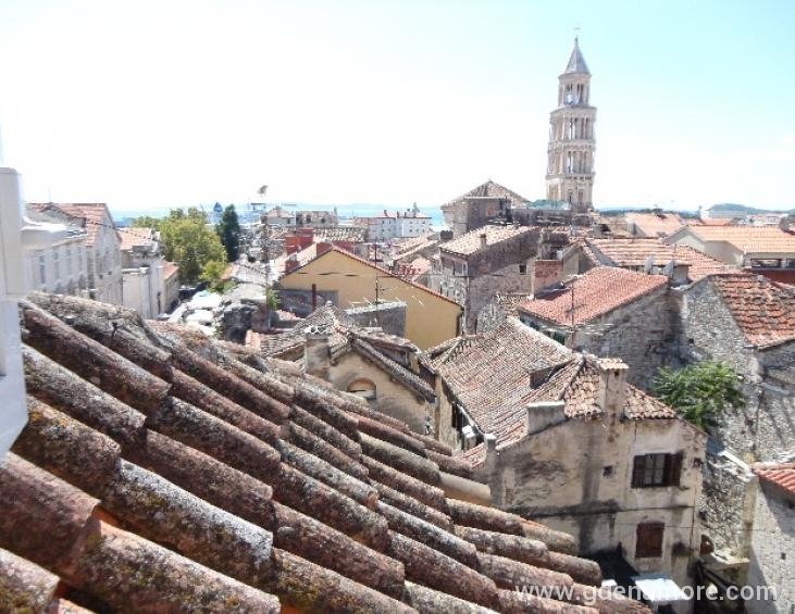 POGLED