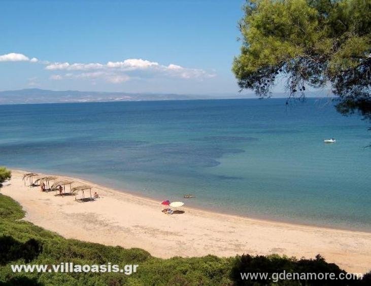 Villa Oasis beach