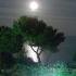 Villa Oasis, privatni smeštaj u mestu Nea Potidea, Grčka - full moon