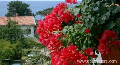 Apartmani SANJA, privatni smeštaj u mestu Poreč, Hrvatska