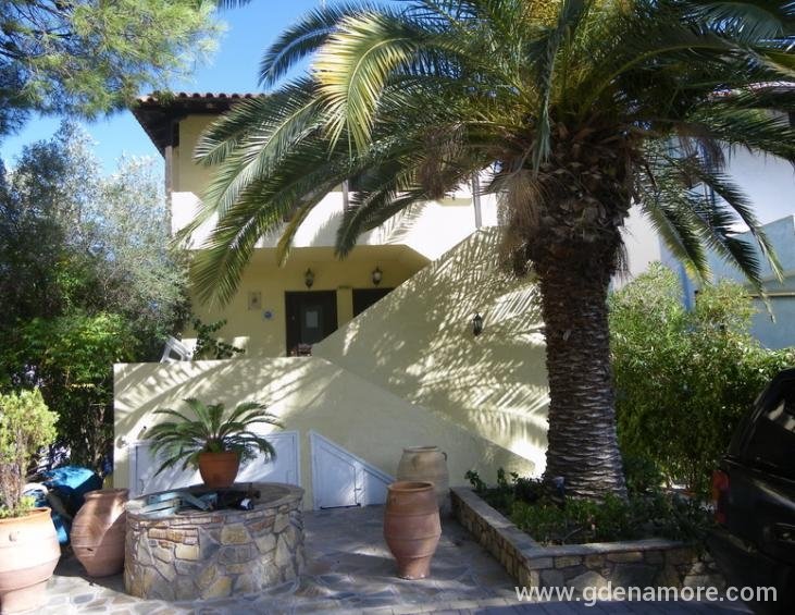 LAZAROS exterior