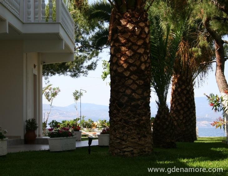 Hotel Frontyard