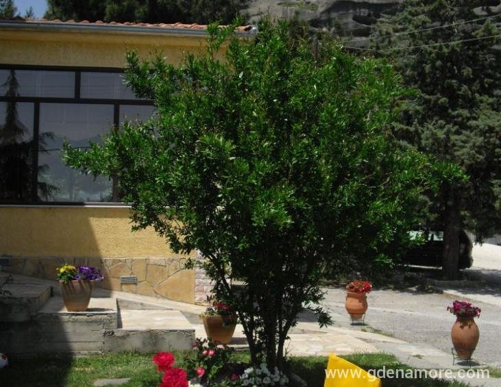 Odysseon
