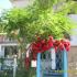 K&amp;S Stoyanovi, private accommodation in city Chernomorets, Bulgaria - K&amp;S Stoyanovi