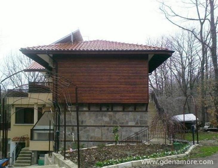 главна
