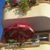 Sea air, private accommodation in city Tsarevo, Bulgaria - Sea air