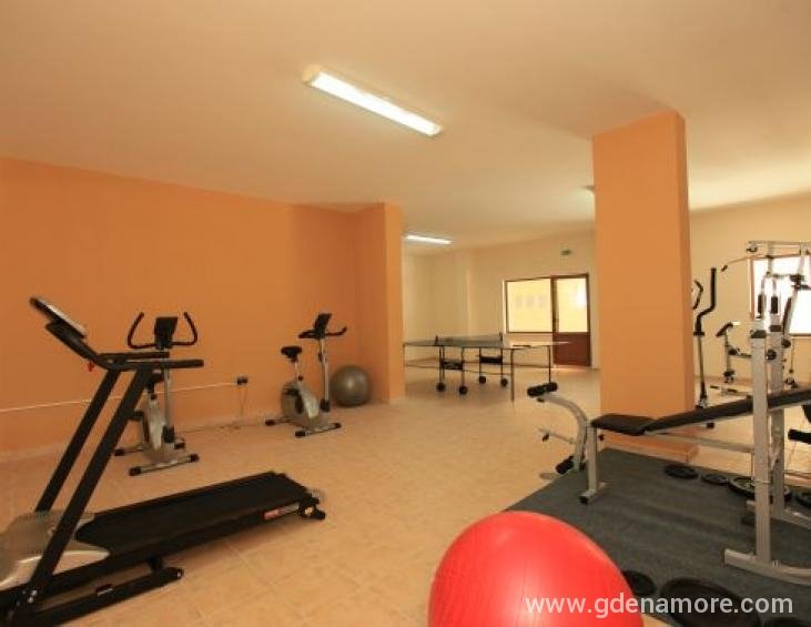 Fitness