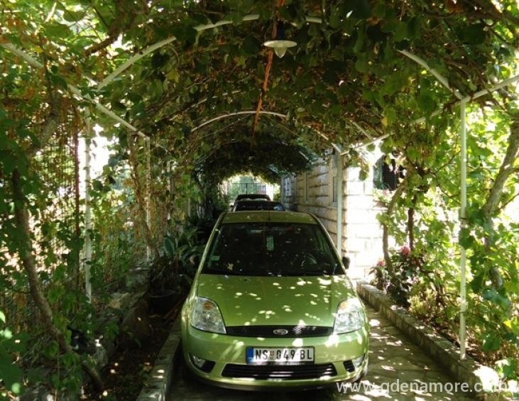 parking 2