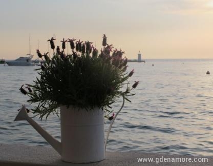 Rotonda, privatni smeštaj u mestu Novigrad, Hrvatska - Novigrad