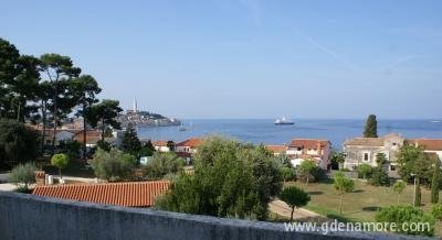 Apartmani Rovinj Centar, privatni smeštaj u mestu Rovinj, Hrvatska