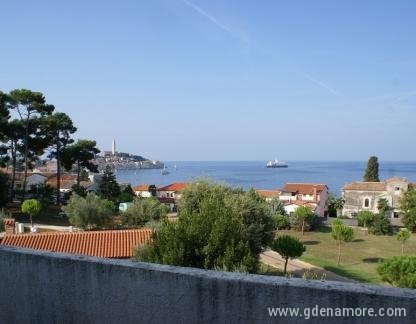 Apartmani Rovinj Centar, privatni smeštaj u mestu Rovinj, Hrvatska - pogled