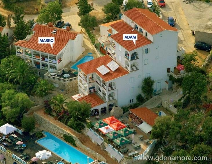 Private accommodation Apartments wiht pool Novalja