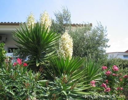 Apartments Dvorski, private accommodation in city Pag, Croatia - Apartmani Dvorski