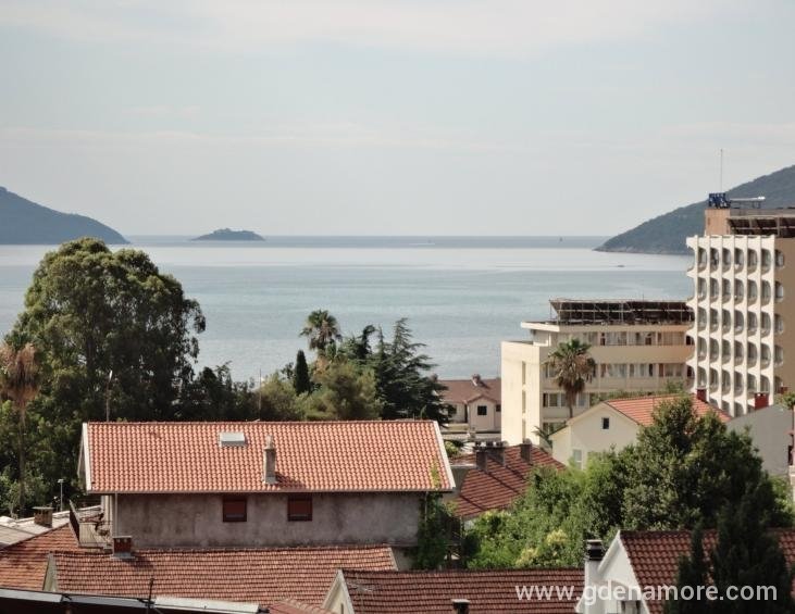 Pogled
