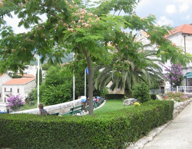 Apartmani Miranda