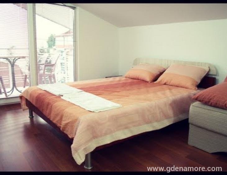 Apartman br.6