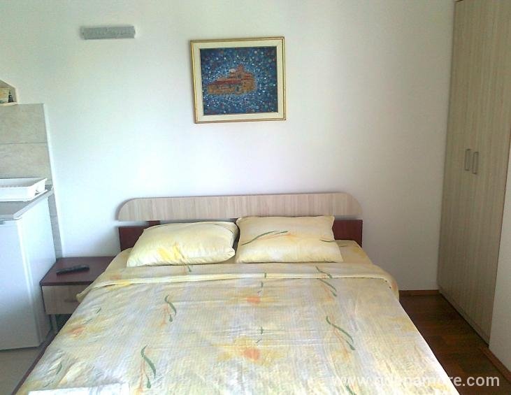 Apartman br.1